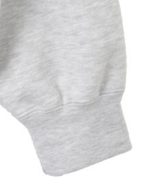 WEGO 【ユニセックス着用ITEM/MLサイズ展開/裏起毛】別注BENDAVISプランプロゴプルオーバー