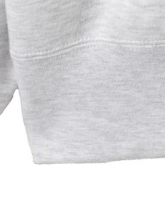 WEGO 【ユニセックス着用ITEM/MLサイズ展開/裏起毛】別注BENDAVISプランプロゴプルオーバー