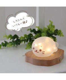 Mother garden しろたん フロストグラスライト