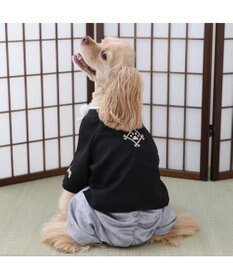 PET PARADISE ペットパラダイス 金糸紋付き袴 中型犬 大型犬