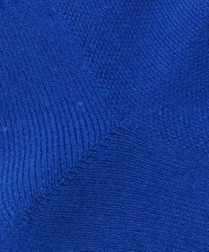 PW CIRCULUS 【虫よけ加工】【MEN】ラインソックス ショート丈  ゴルフ