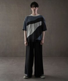 WEGO ジャガードニットT（SS）