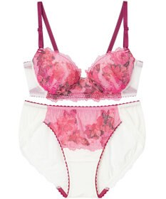 Wing WEB限定　ブラ＆ショーツセット　快適なつけごこち　はきこみ丈あさめ　ウイング／ワコール　CB3712