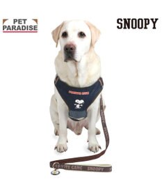 PET PARADISE スヌーピー ハーネス＆リード 《ワッペン柄》 Ｍ 大型犬