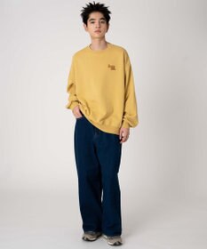 WEGO 【裏起毛/ユニセックス着用ITEM/SMLサイズ展開】アソートグラフィックプルオーバー（4）