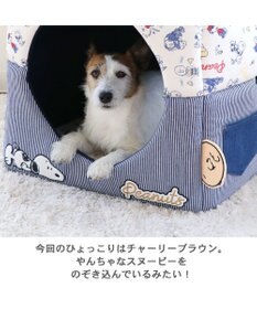 PET PARADISE スヌーピー ２ｗａｙヒッコリー ハウス (46×46cm)