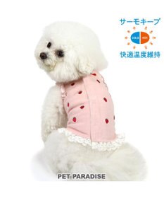 PET PARADISE ペットパラダイス サーモキープ 背中開き タンクトップ  《苺 刺繍》 小型犬