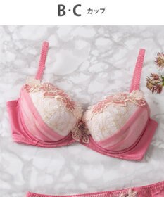 Wing Wing Lesiage　【2720シリーズ】ブラジャー　シアー感のあるラグジュアリーなデザイン　ウイング／ワコール　PB2720