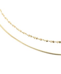 Green Parks ｅｖｅｒｙｗａｌｋ．ステンレス２本セットチェーンネックレス