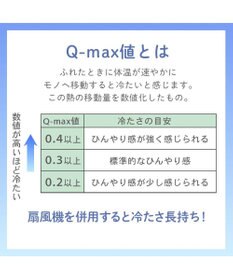 PET PARADISE リサとガスパール もちっと クールマット
