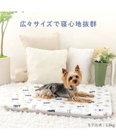 PET PARADISE リサとガスパール もちっと クールマット