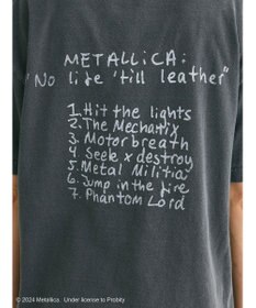 Green Parks ●ＧＯＯＤ　ＳＰＥＥＤ　ＭＥＴＡＬＬＩＣＡ　Ｔ
