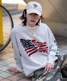 WEGO スリーブロゴニットプルオーバー