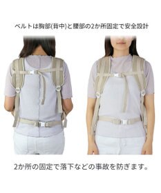 ペットパラダイス リュック キャリーバッグ シンプル ハグ