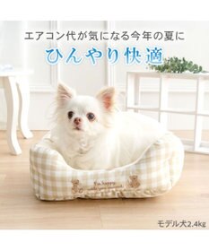 PET PARADISE ペットパラダイス くまちゃん クールカドラー 《アイス柄》 Ｓ
