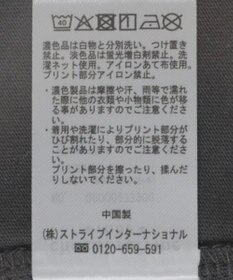 Green Parks ＳＥＴ２点フォトＴシャツ＋レースキャミビスチェ