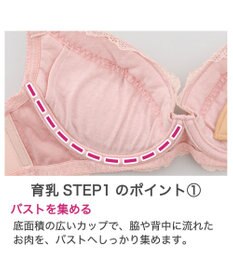 BRADELIS New York 【BRADELIS New York / 育乳補整ブラ・STEP1 集める】ウェンディステップ1ブラ24A1