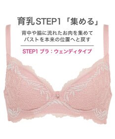 BRADELIS New York 【BRADELIS New York / 育乳補整ブラ・STEP1 集める】ウェンディステップ1ブラ24A1