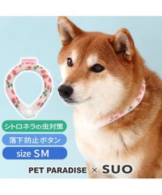 PET PARADISE ペットパラダイス 28℃クールリング SUO 《いちご柄》 〔ＳＭ〕 中型犬