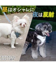 PET PARADISE ペットパラダイス 超反射 切り替え ハーネス＆リード ３Ｓ 《ブルーグリーン》