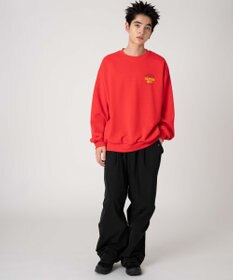 WEGO 【裏起毛/ユニセックス着用ITEM/SMLサイズ展開】アソートグラフィックプルオーバー（4）