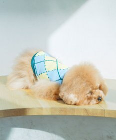 COQ VINTAGE SWEATER アーガイルドッグウェア