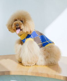 COQ VINTAGE SWEATER アーガイルドッグウェア