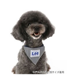 PET PARADISE Ｌｅｅ ヒッコリー 両面バンダナ付き 首輪【Ｓ】