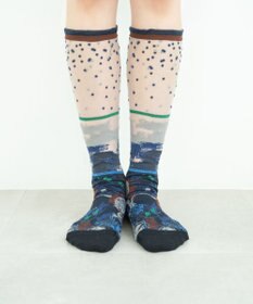 COQ LANDSCAPE シアーハイソックス