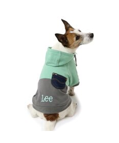 PET PARADISE Lee バイカラー フード付きパーカー 《グリーン》 小型犬
