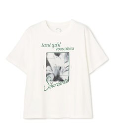 UNFILO 【新柄追加】CLEAN-Tee
