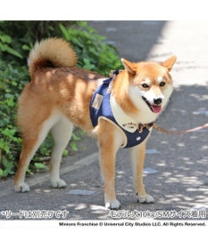 PET PARADISE ミニオン ティム ベストハーネス デニム ＳＭ 中型犬