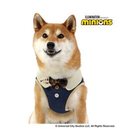 PET PARADISE ミニオン ティム ベストハーネス デニム ＳＭ 中型犬