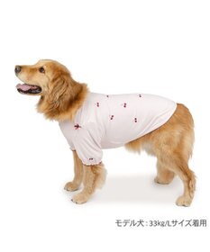 PET PARADISE ペットパラダイス サーモキープ Tシャツ 《チェリー》 中型犬 大型犬