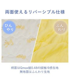 PET PARADISE ディズニー プルート もちっと クール ブランケット