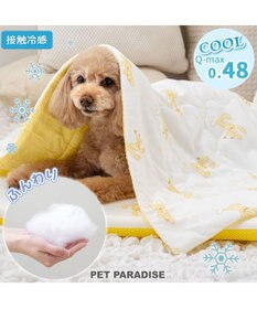 PET PARADISE ディズニー プルート もちっと クール ブランケット