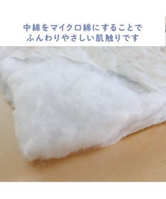 PET PARADISE ディズニー プルート もちっと クール ブランケット