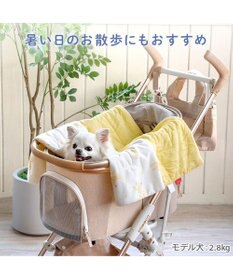 PET PARADISE ディズニー プルート もちっと クール ブランケット