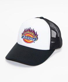 WEGO Dickies　DK　EX　FIRE　ICON　MESH　CAP