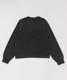 WEGO 【ユニセックス着用ITEM】コンパクトフィットロゴプルオーバー