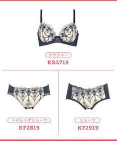 Wing ブラジャー 背中の段差をスムージング 脇高設計 脇から背中すっきり バストの脇流れをブロック 【後ろ姿きれいブラ】 ブラ KB2719 ウイング／ワコール