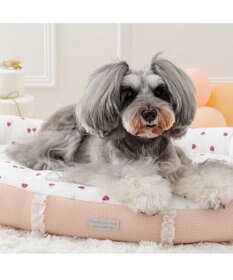 PET PARADISE ペットパラダイス いちご フリルカドラー  Ｌ 57×45cm