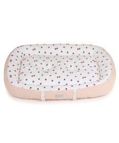 PET PARADISE ペットパラダイス いちご フリルカドラー  Ｌ 57×45cm