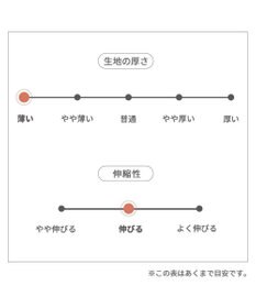 PET PARADISE スヌーピー メッシュタンクトップ 《バケーション柄》 小型犬