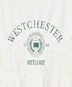 AMERICAN HOLIC カレッジプリントシャーリングプルオーバー