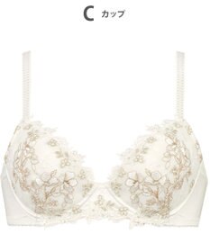 Wing ブラジャー Wing Lesiage ふっくらまる胸メイク やさしいフィット感 【2920シリーズ】 パッド有 ブラ PB2920 ウイング／ワコール