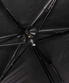 AURORA Beaurance ビューランス プリント柄 晴雨兼用傘 (トップフラット折傘)