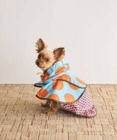 COQ DOTS CROSS ドッグポンチョ レインコート