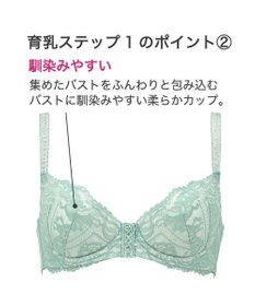 BRADELIS New York 【BRADELIS New York / 育乳ブラ・STEP1 集める】 ジャスミンステップ1ブラ22A1  しっかりバストを集めてナチュラルなシルエットを作る補整ブラ