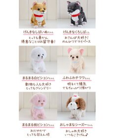 Mother garden マザーガーデン とことこおさんぽシリーズ かしこいシュナウザー 単品